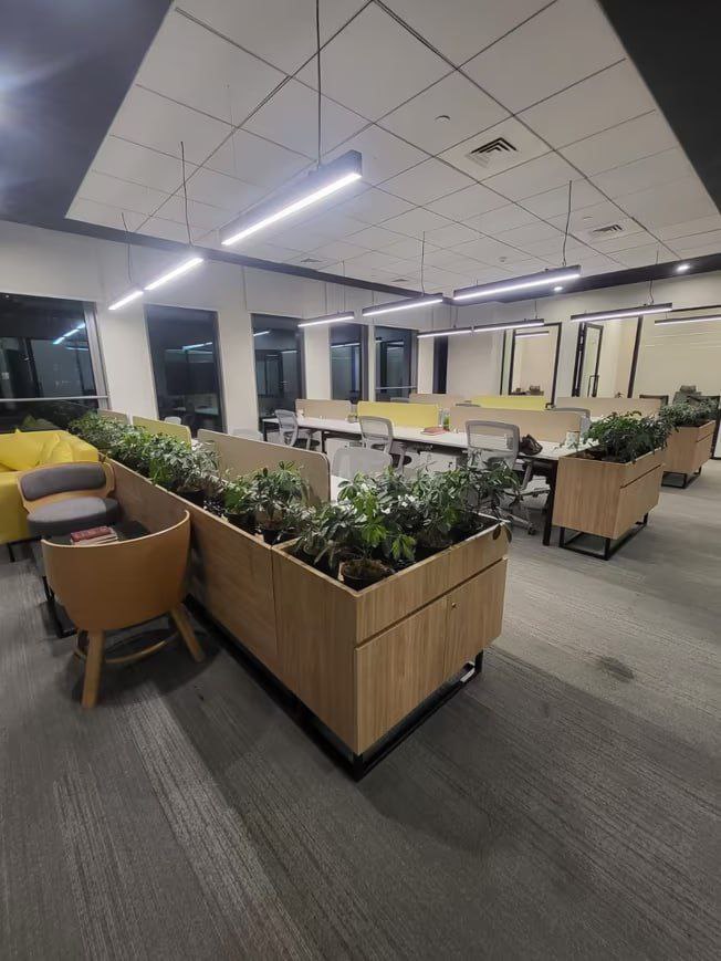 Office Environment